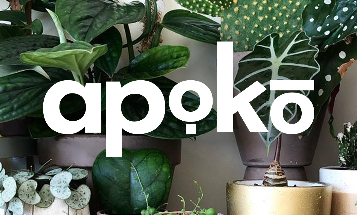Apoko - Online Store