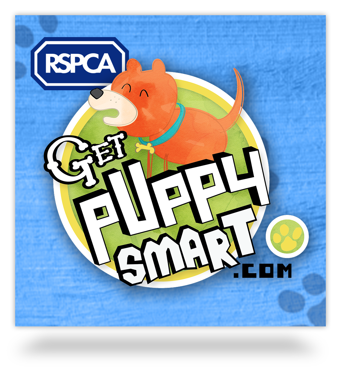 Get Puppy Smart